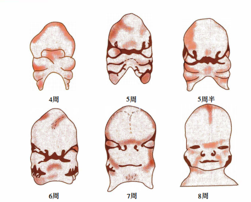 Pasted image 20260712223741.png