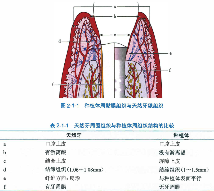 Pasted image 20260901202555.png