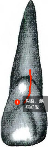 /Users/a1-6/Library/Containers/com.kingsoft.wpsoffice.mac/Data/tmp/photoeditapp/20250922214220/temp.pngtemp
