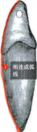 /Users/a1-6/Library/Containers/com.kingsoft.wpsoffice.mac/Data/tmp/photoeditapp/20250923164759/temp.pngtemp